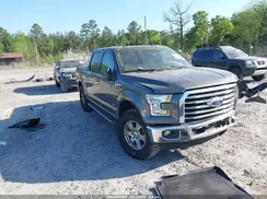 1FTEW1CP5GFD33059 2016 FORD F-150