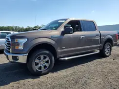 1FTEW1CP5GKE00007 2016 FORD F-150