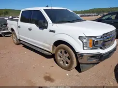 1FTEW1CP5KFC60316 2019 FORD F-150