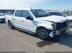 1FTEW1CP5KKD97649 2019 FORD F-150