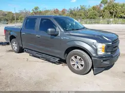 1FTEW1CP5KKF23394 2019 FORD F-150