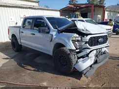 1FTEW1CP5MKD48227 2021 FORD F-150
