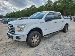 1FTEW1CP6GFB19181 2016 FORD F-150