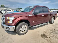 1FTEW1CP6GFB19567 2016 FORD F-150