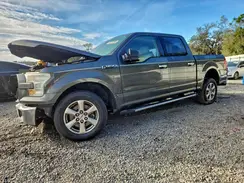 1FTEW1CP6GFD34172 2016 FORD F-150