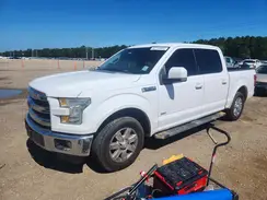 1FTEW1CP6GKF76113 2016 FORD F-150