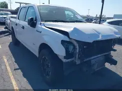 1FTEW1CP6HKD75328 2017 FORD F-150