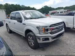 1FTEW1CP6KFA51716 2019 FORD F-150