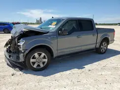 1FTEW1CP6KKD12348 2019 FORD F-150