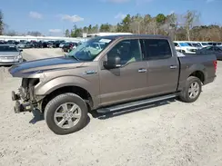 1FTEW1CP6KKE98442 2019 FORD F-150