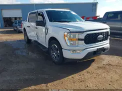 1FTEW1CP6MFA59379 2021 FORD F-150