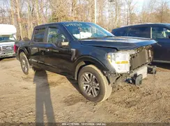 1FTEW1CP6MFC69867 2021 FORD F-150