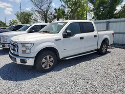 1FTEW1CP7GFB21571 2016 FORD F-150