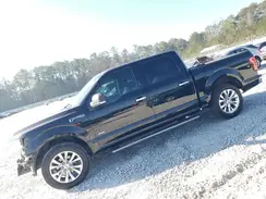 1FTEW1CP7GFB34093 2016 FORD F-150