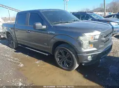 1FTEW1CP7GFD11502 2016 FORD F-150