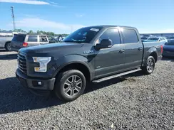 1FTEW1CP7GFD13394 2016 FORD F-150