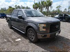 1FTEW1CP7GFD35525 2016 FORD F-150