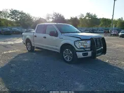 1FTEW1CP7HFA64516 2017 FORD F-150