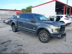 1FTEW1CP7HFA71451 2017 FORD F-150