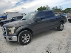 1FTEW1CP7HKD26199 2017 FORD F-150
