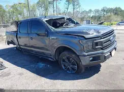 1FTEW1CP7KKE73193 2019 FORD F-150
