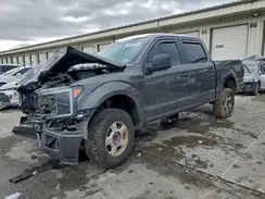 1FTEW1CP7LKD31198 2020 FORD F-150