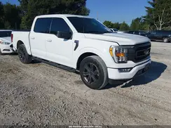 1FTEW1CP7PKF69901 2023 FORD F-150