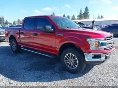 1FTEW1CP8KKD46906 2019 FORD F-150