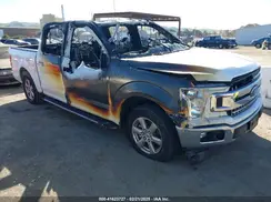 1FTEW1CP8KKE80752 2019 FORD F-150