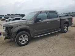 1FTEW1CP9HFA40380 2017 FORD F-150