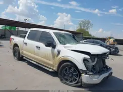 1FTEW1CP9MFB86224 2021 FORD F-150