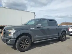 1FTEW1CPXGFA50429 2016 FORD F-150