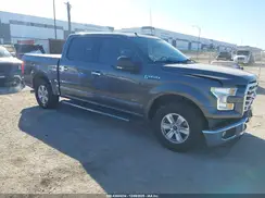 1FTEW1CPXGKE29406 2016 FORD F-150