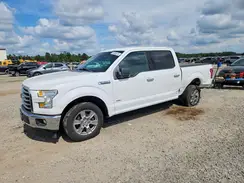 1FTEW1CPXHFA51565 2017 FORD F-150