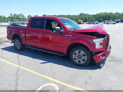 1FTEW1CPXHFC49336 2017 FORD F-150