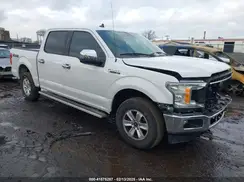 1FTEW1E40KFB19446 2019 FORD F-150