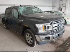 1FTEW1E40LFB15818 2020 FORD F-150