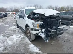 1FTEW1E40LFC43220 2020 FORD F-150