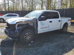1FTEW1E40LFC71616 2020 FORD F-150