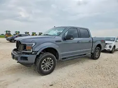 1FTEW1E40LKD07649 2020 FORD F-150