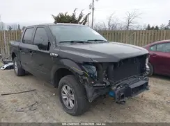 1FTEW1E41KFA82293 2019 FORD F-150