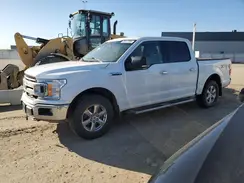 1FTEW1E41KFB54237 2019 FORD F-150