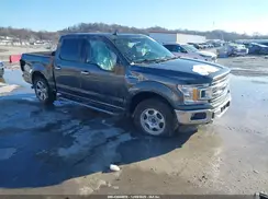 1FTEW1E41KFC21581 2019 FORD F-150