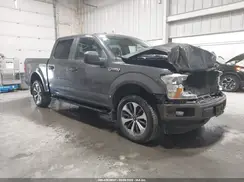 1FTEW1E41KKC37075 2019 FORD F-150