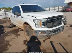 1FTEW1E41KKD30131 2019 FORD F-150