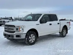 1FTEW1E41LFC60253 2020 FORD F-150