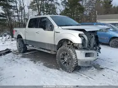 1FTEW1E42KFB14264 2019 FORD F-150