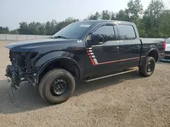 1FTEW1E42KFC13828 2019 FORD F-150