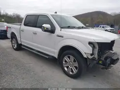 1FTEW1E42KKE29055 2019 FORD F-150