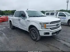 1FTEW1E42KKE83133 2019 FORD F-150